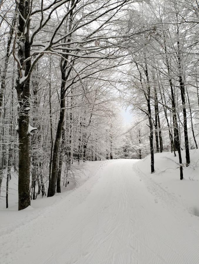 B&B La Corte Dei Cerri- Il Piccolo Chalet Frassinoro 外观 照片