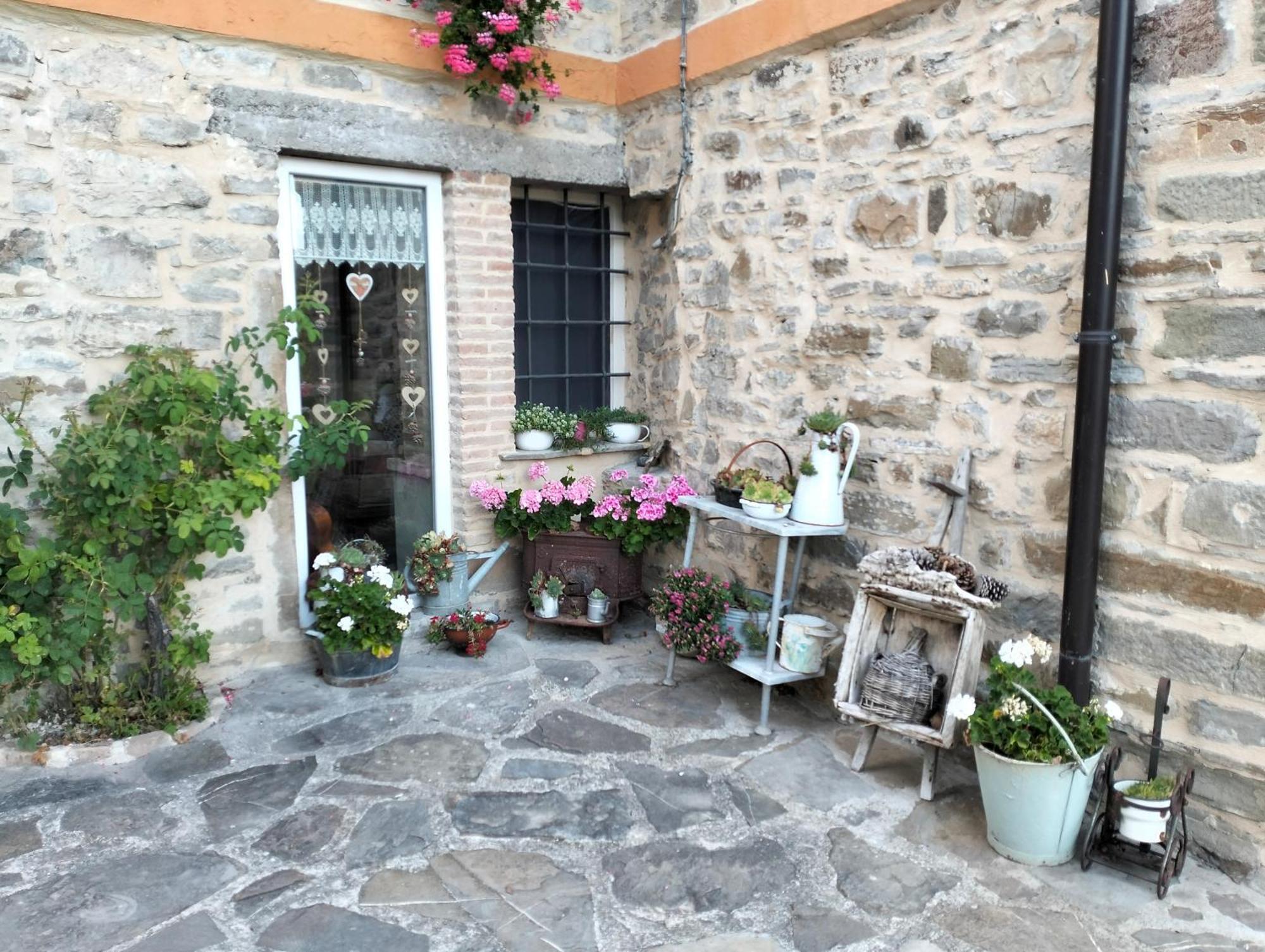 B&B La Corte Dei Cerri- Il Piccolo Chalet Frassinoro 外观 照片